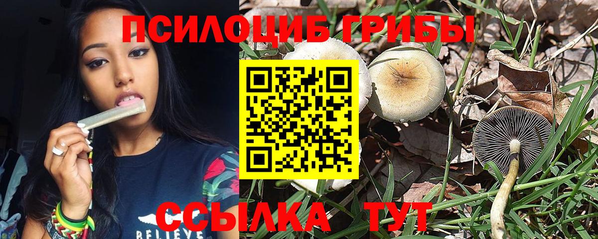 Новотроицк  купить закладку  Вход с VPN  Галлюциногенные грибы Psilocybine cubensis 