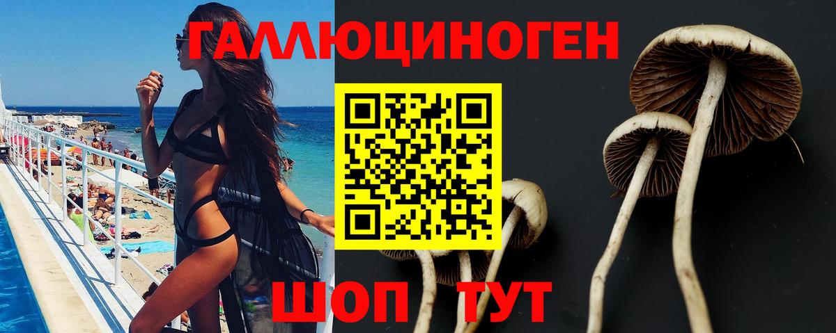 Псилоцибиновые грибы мицелий Новотроицк